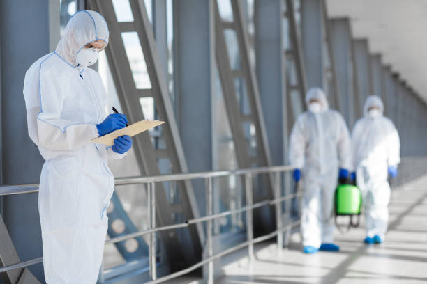 Reliable Coquille, OR Mold Removal Solutions